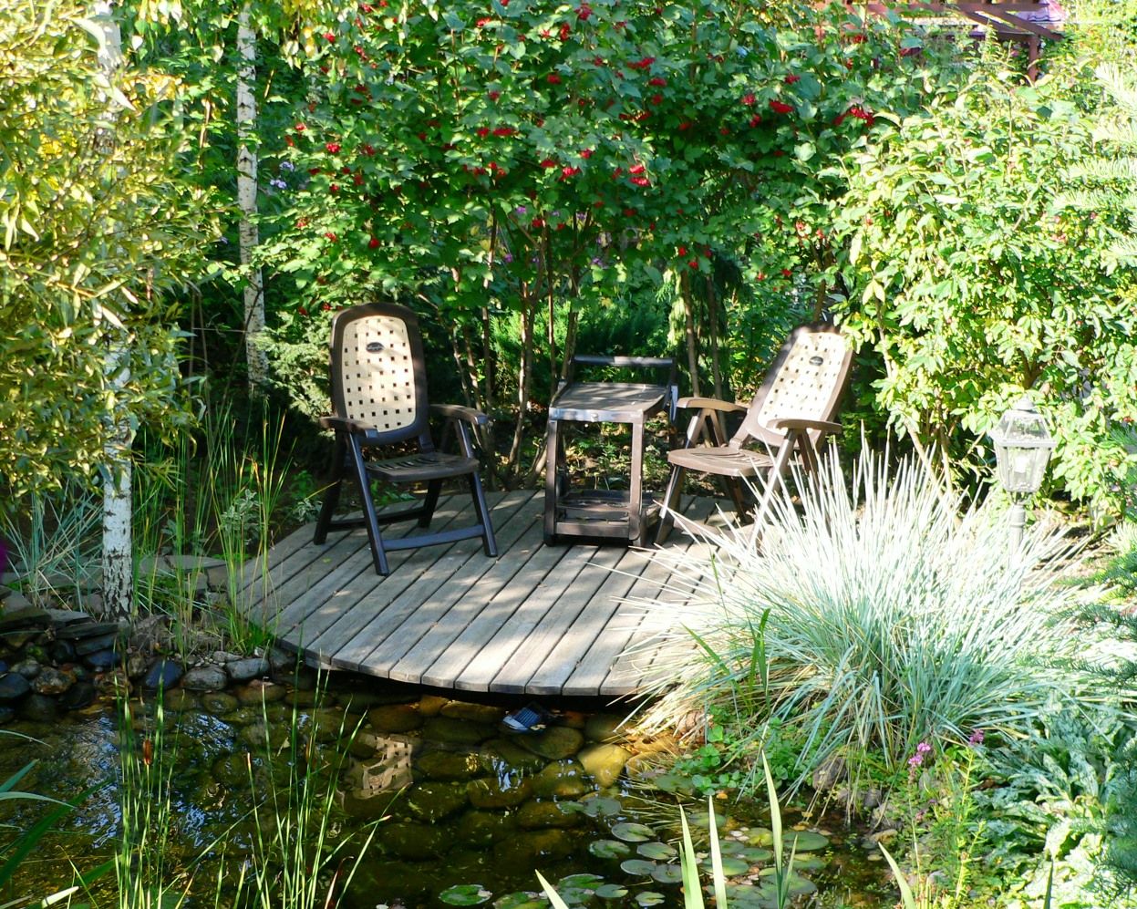 Проект Горки 2